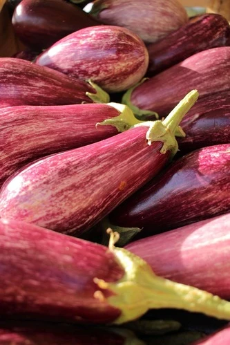 Aubergines